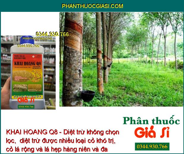 KHAI HOANG Q8 - Diệt Trừ Nhiều Loại Cỏ Khó Trị: Cỏ Chỉ - Mần Trầu - Thài Lài