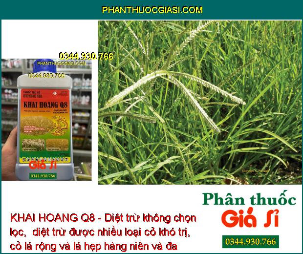 KHAI HOANG Q8 - Diệt Trừ Nhiều Loại Cỏ Khó Trị: Cỏ Chỉ - Mần Trầu - Thài Lài