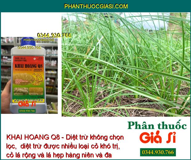 KHAI HOANG Q8 - Diệt Trừ Nhiều Loại Cỏ Khó Trị: Cỏ Chỉ - Mần Trầu - Thài Lài