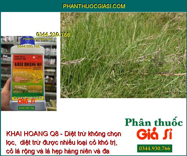 KHAI HOANG Q8 - Diệt Trừ Nhiều Loại Cỏ Khó Trị: Cỏ Chỉ - Mần Trầu - Thài Lài