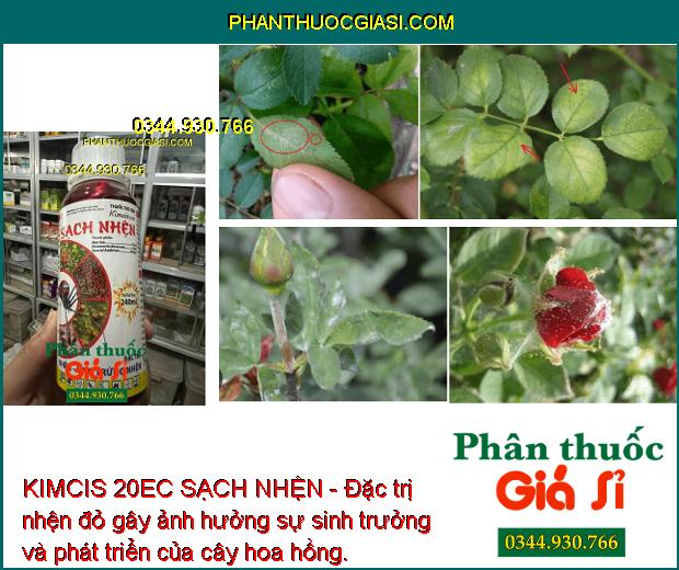 KIMCIS 20EC SẠCH NHỆN - Đặc Trị Các Loại Nhện Đỏ - Nhện Gié