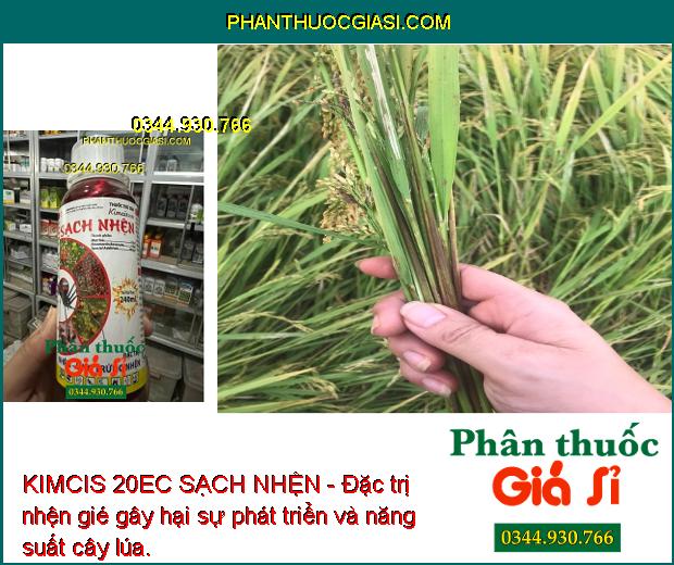 KIMCIS 20EC SẠCH NHỆN - Đặc Trị Các Loại Nhện Đỏ - Nhện Gié