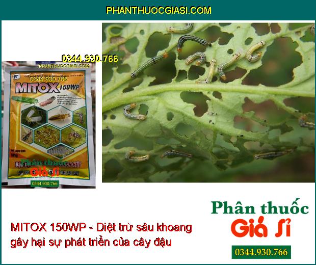 MITOX 150WP- Chế Phẩm Diệt Côn Trùng Miệng Chích Hút