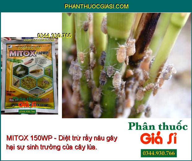 MITOX 150WP- Chế Phẩm Diệt Côn Trùng Miệng Chích Hút