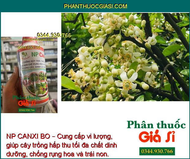 NP CANXI BO – Chống Rụng Hoa - Trái Non - Ngăn Ngừa Nứt Trái - Thối Trái