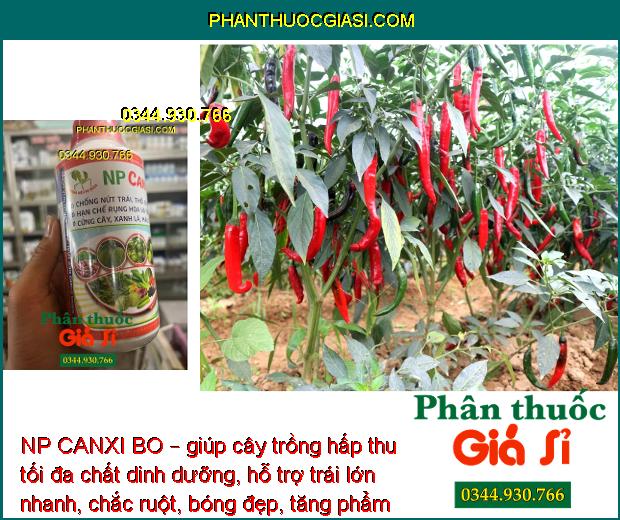 NP CANXI BO – Chống Rụng Hoa - Trái Non - Ngăn Ngừa Nứt Trái - Thối Trái