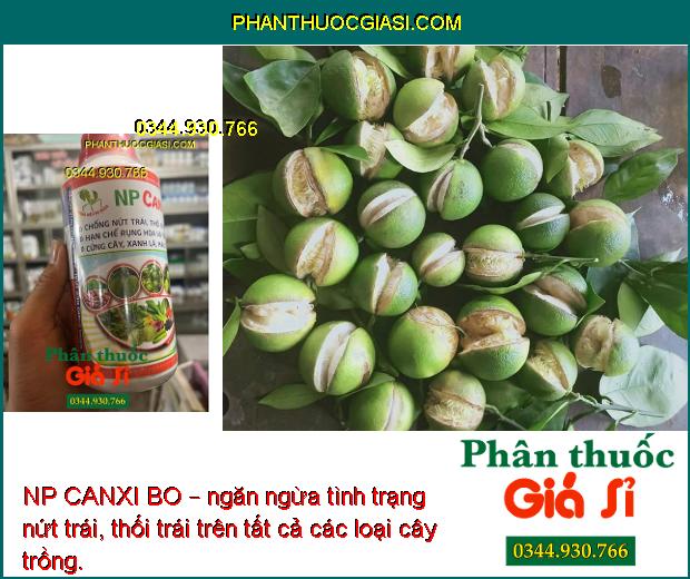 NP CANXI BO – Chống Rụng Hoa - Trái Non - Ngăn Ngừa Nứt Trái - Thối Trái