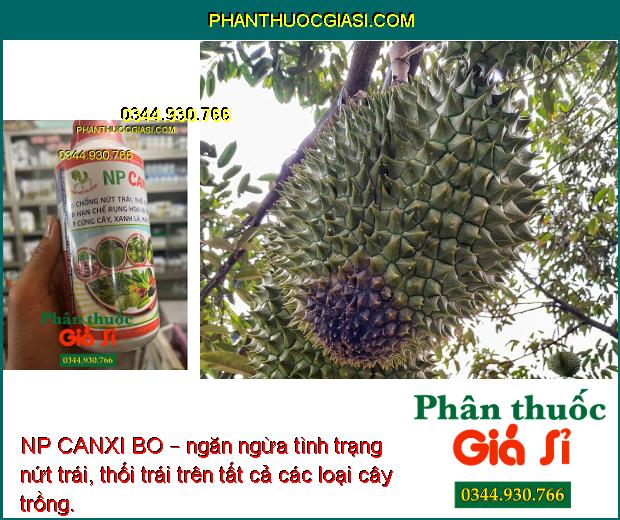 NP CANXI BO – Chống Rụng Hoa - Trái Non - Ngăn Ngừa Nứt Trái - Thối Trái