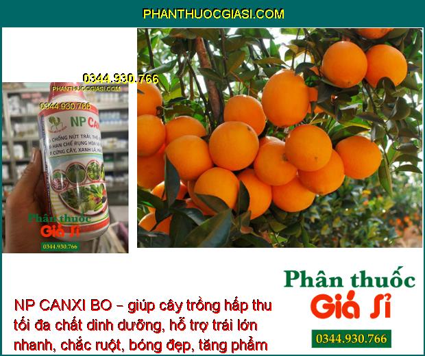 NP CANXI BO – Chống Rụng Hoa - Trái Non - Ngăn Ngừa Nứt Trái - Thối Trái