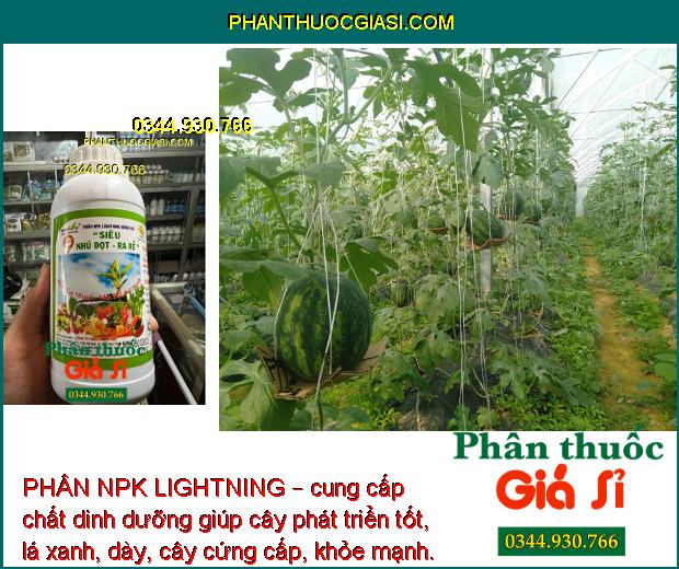 PHÂN NPK LIGHTNING – Ra Rễ Mạnh - Lá To Dày - Tăng Đề Kháng