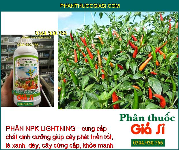 PHÂN NPK LIGHTNING – Ra Rễ Mạnh - Lá To Dày - Tăng Đề Kháng