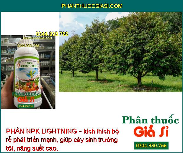 PHÂN NPK LIGHTNING – Ra Rễ Mạnh - Lá To Dày - Tăng Đề Kháng