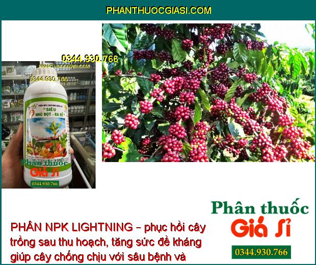 PHÂN NPK LIGHTNING – Ra Rễ Mạnh - Lá To Dày - Tăng Đề Kháng