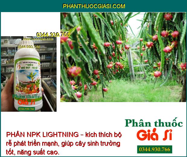 PHÂN NPK LIGHTNING – Ra Rễ Mạnh - Lá To Dày - Tăng Đề Kháng