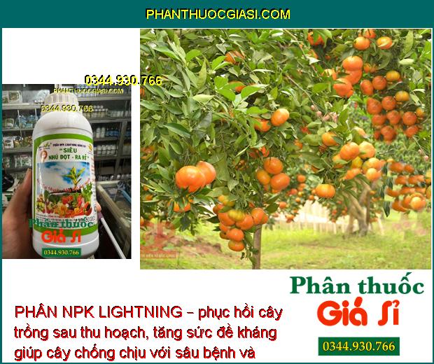 PHÂN NPK LIGHTNING – Ra Rễ Mạnh - Lá To Dày - Tăng Đề Kháng