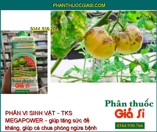 PHÂN VI SINH VẬT – TKS MEGAPOWER – TĂNG SỨC ĐỀ KHÁNG - PHÒNG TRỪ BỆNH THÁN THƯ – RỈ SẮT – PHẤN TRẮNG - KHÔ ĐẦU LÁ