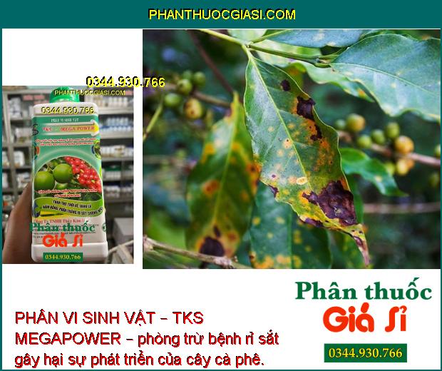 PHÂN VI SINH VẬT – TKS MEGAPOWER – TĂNG SỨC ĐỀ KHÁNG - PHÒNG TRỪ BỆNH THÁN THƯ – RỈ SẮT – PHẤN TRẮNG - KHÔ ĐẦU LÁ