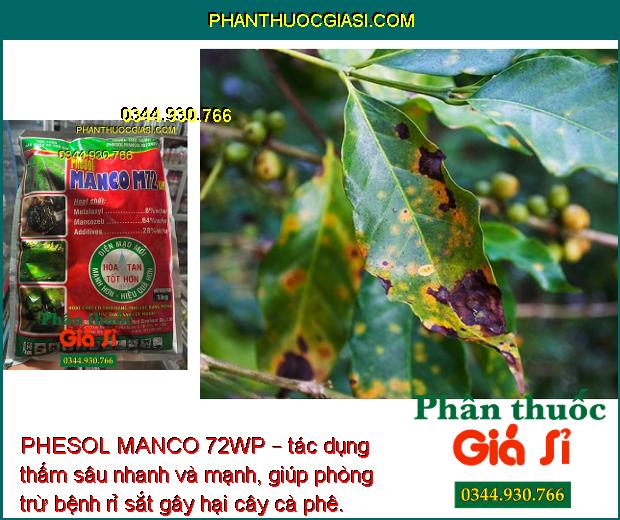 PHESOL MANCO 72WP – CHUYÊN ĐẶC TRỊ LOÉT SỌC MIỆNG CẠO TRÊN CÂY CAO SU