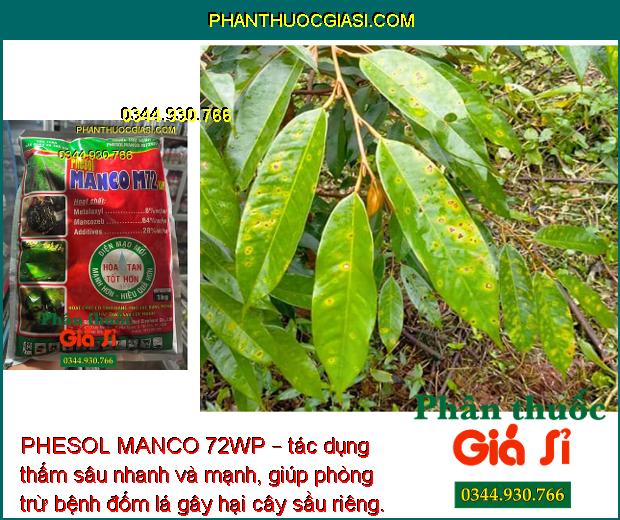 PHESOL MANCO 72WP – CHUYÊN ĐẶC TRỊ LOÉT SỌC MIỆNG CẠO TRÊN CÂY CAO SU