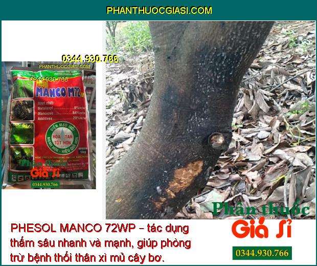 PHESOL MANCO 72WP – CHUYÊN ĐẶC TRỊ LOÉT SỌC MIỆNG CẠO TRÊN CÂY CAO SU