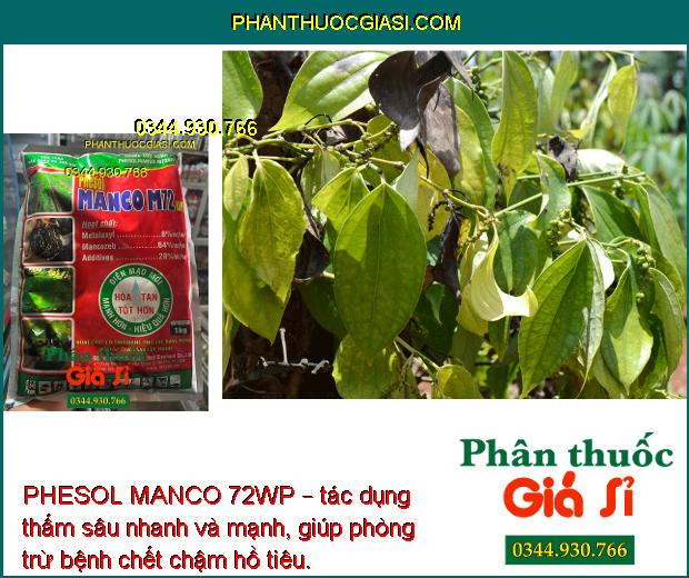 PHESOL MANCO 72WP – CHUYÊN ĐẶC TRỊ LOÉT SỌC MIỆNG CẠO TRÊN CÂY CAO SU