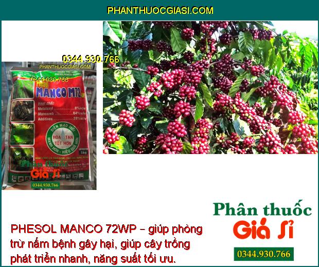 PHESOL MANCO 72WP – CHUYÊN ĐẶC TRỊ LOÉT SỌC MIỆNG CẠO TRÊN CÂY CAO SU