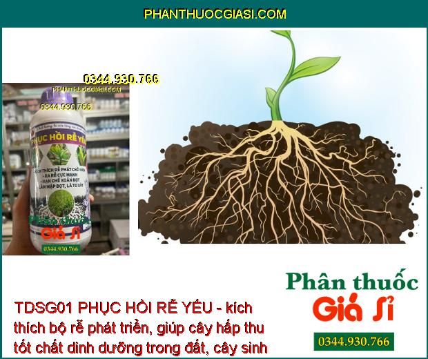 TDSG01 PHỤC HỒI RỄ YẾU - kích thích trái phát triển, trái lớn tối đa, màu đẹp, sáng da, năng suất cao.