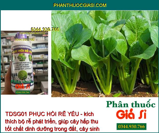 TDSG01 PHỤC HỒI RỄ YẾU - kích thích trái phát triển, trái lớn tối đa, màu đẹp, sáng da, năng suất cao.