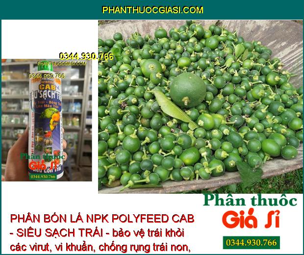 PHÂN BÓN LÁ NPK POLYFEED CAB - SIÊU SẠCH TRÁI - Tẩy Trái - Lên Màu Đẹp - Chống Rụng Trái Non