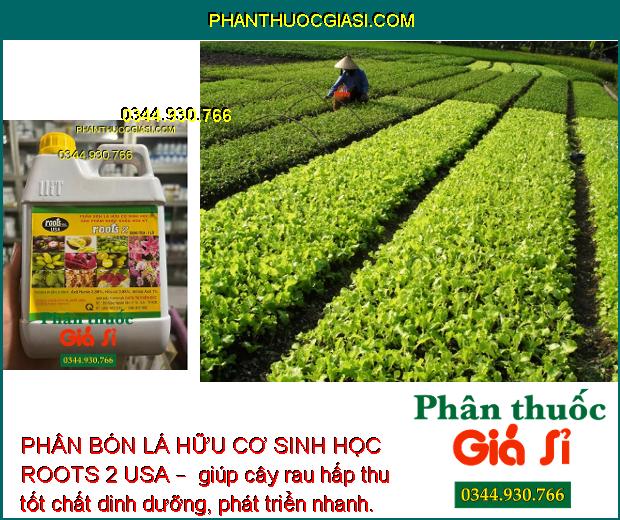 PHÂN BÓN LÁ HỮU CƠ SINH HỌC ROOTS 2 USA –  Phát Triển Bộ Rễ - Điều Hòa Sinh Trưởng 