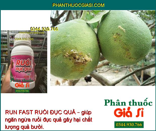 RUN FAST RUỒI ĐỤC QUẢ – ĐẶC TRỊ RUỒI ĐỤC QUẢ – MUỖI HÀNH – BỌ XÍT MUỖI