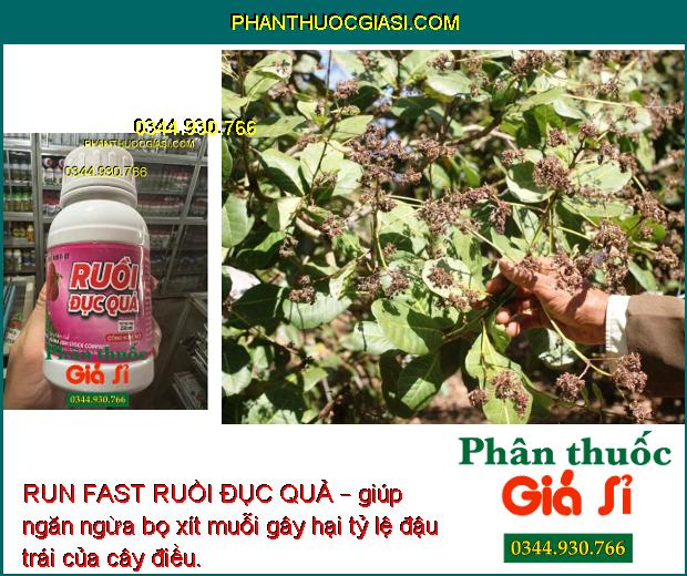 RUN FAST RUỒI ĐỤC QUẢ – ĐẶC TRỊ RUỒI ĐỤC QUẢ – MUỖI HÀNH – BỌ XÍT MUỖI