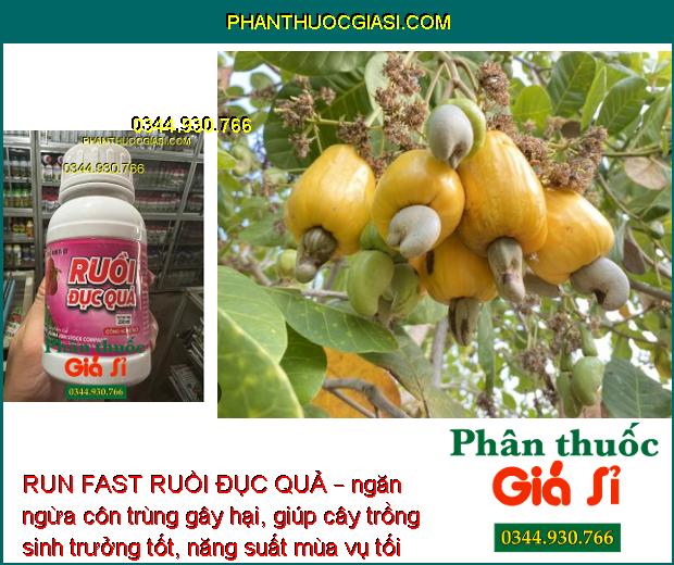 RUN FAST RUỒI ĐỤC QUẢ – ĐẶC TRỊ RUỒI ĐỤC QUẢ – MUỖI HÀNH – BỌ XÍT MUỖI