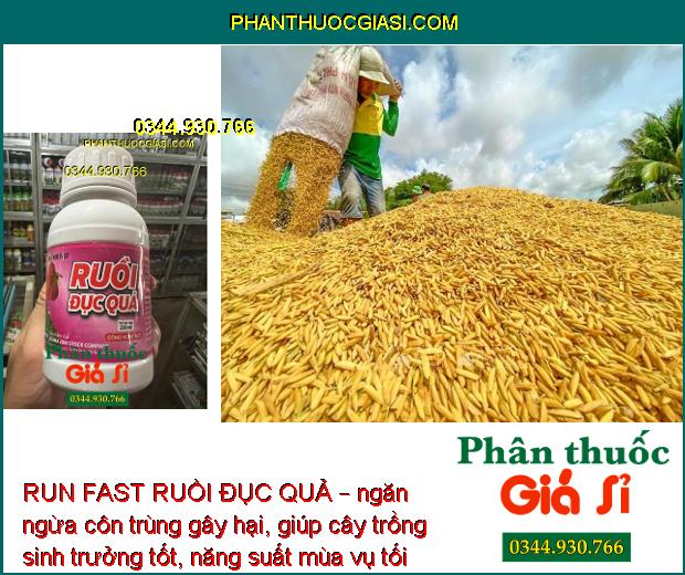 RUN FAST RUỒI ĐỤC QUẢ – ĐẶC TRỊ RUỒI ĐỤC QUẢ – MUỖI HÀNH – BỌ XÍT MUỖI