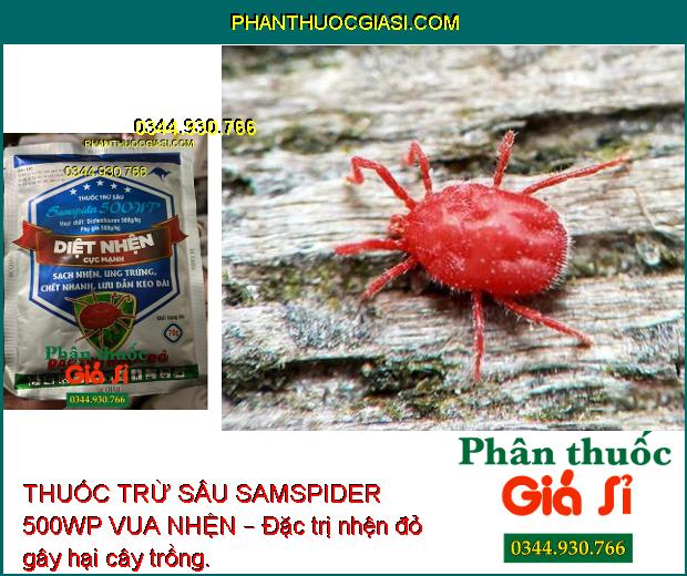 THUỐC TRỪ SÂU SAMSPIDER 500WP VUA NHỆN – ĐẶC TRỊ NHỆN ĐỎ HẠI CÂY TRỒNG