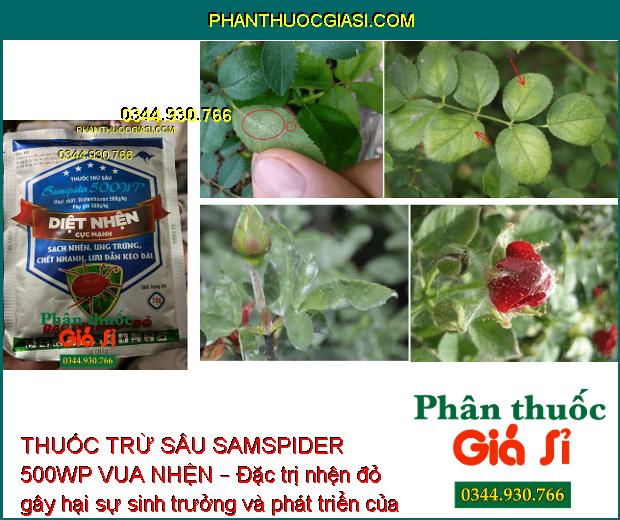 THUỐC TRỪ SÂU SAMSPIDER 500WP VUA NHỆN – ĐẶC TRỊ NHỆN ĐỎ HẠI CÂY TRỒNG