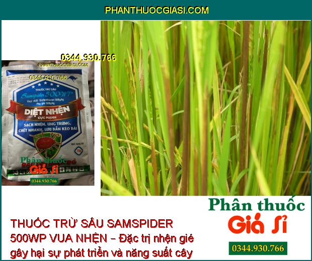 THUỐC TRỪ SÂU SAMSPIDER 500WP VUA NHỆN – ĐẶC TRỊ NHỆN ĐỎ HẠI CÂY TRỒNG