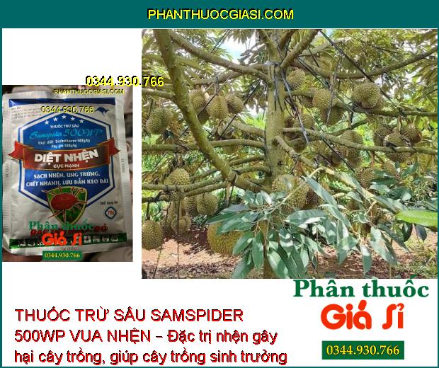 THUỐC TRỪ SÂU SAMSPIDER 500WP VUA NHỆN – ĐẶC TRỊ NHỆN ĐỎ HẠI CÂY TRỒNG