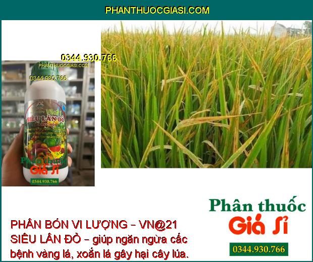 PHÂN BÓN VI LƯỢNG – VN@21 SIÊU LÂN ĐỎ – GIẢI ĐỘC PHÈN – TĂNG SỨC ĐỀ KHÁNG – KÍCH THÍCH TẠO MẦM HOA 