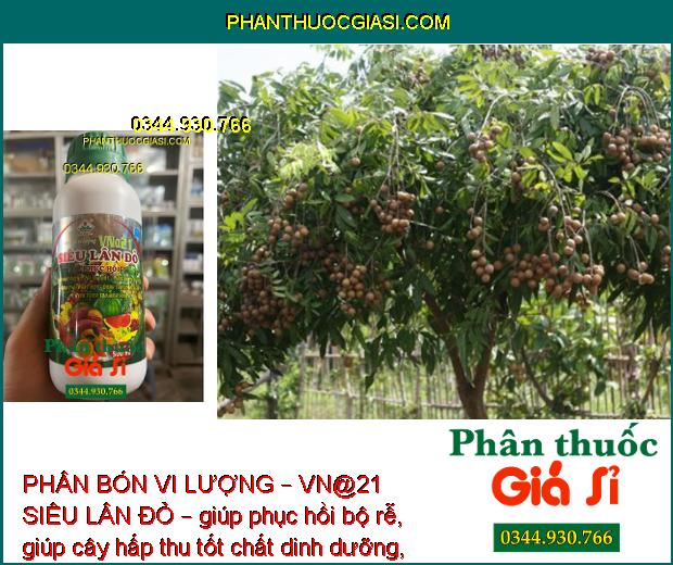 PHÂN BÓN VI LƯỢNG – VN@21 SIÊU LÂN ĐỎ – GIẢI ĐỘC PHÈN – TĂNG SỨC ĐỀ KHÁNG – KÍCH THÍCH TẠO MẦM HOA 