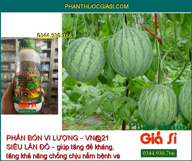 PHÂN BÓN VI LƯỢNG – VN@21 SIÊU LÂN ĐỎ – GIẢI ĐỘC PHÈN – TĂNG SỨC ĐỀ KHÁNG – KÍCH THÍCH TẠO MẦM HOA 