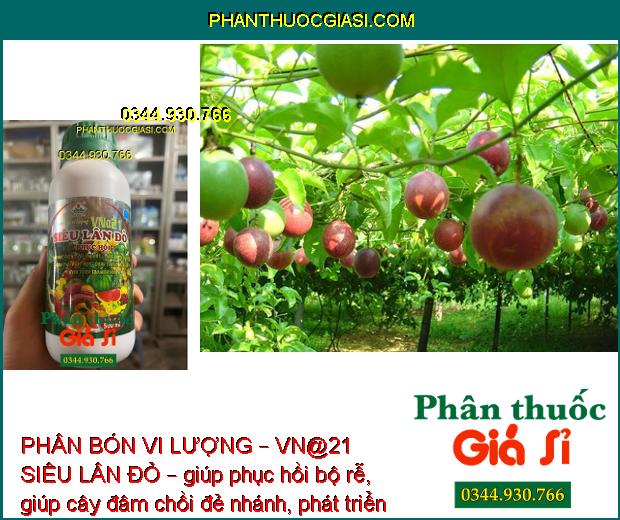 PHÂN BÓN VI LƯỢNG – VN@21 SIÊU LÂN ĐỎ – GIẢI ĐỘC PHÈN – TĂNG SỨC ĐỀ KHÁNG – KÍCH THÍCH TẠO MẦM HOA 