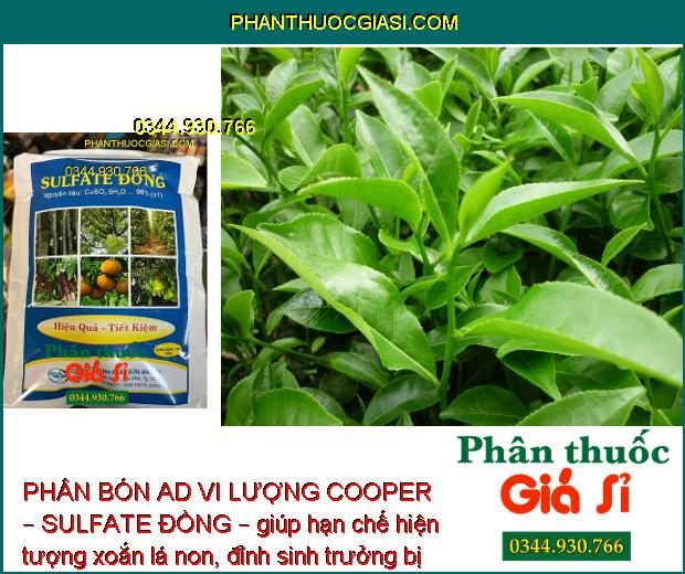 PHÂN BÓN AD VI LƯỢNG COOPER – SULFATE ĐỒNG – CÂY RA HOA NHIỀU – ĐẬU TRÁI CAO – HẠN CHẾ NẤM BỆNH