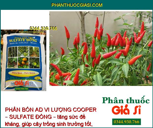 PHÂN BÓN AD VI LƯỢNG COOPER – SULFATE ĐỒNG – CÂY RA HOA NHIỀU – ĐẬU TRÁI CAO – HẠN CHẾ NẤM BỆNH