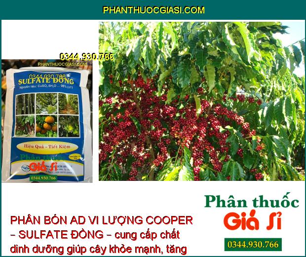 PHÂN BÓN AD VI LƯỢNG COOPER – SULFATE ĐỒNG – CÂY RA HOA NHIỀU – ĐẬU TRÁI CAO – HẠN CHẾ NẤM BỆNH