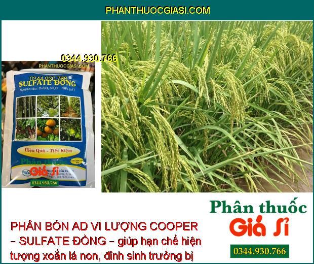 PHÂN BÓN AD VI LƯỢNG COOPER – SULFATE ĐỒNG – CÂY RA HOA NHIỀU – ĐẬU TRÁI CAO – HẠN CHẾ NẤM BỆNH