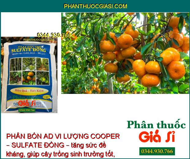 PHÂN BÓN AD VI LƯỢNG COOPER – SULFATE ĐỒNG – CÂY RA HOA NHIỀU – ĐẬU TRÁI CAO – HẠN CHẾ NẤM BỆNH