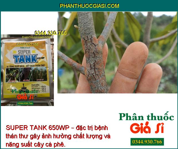 SUPER TANK 650WP – ĐẶC TRỊ BỆNH PHẤN TRẮNG - RỈ SẮT - THÁN THƯ - NẤM TRÊN CÂY