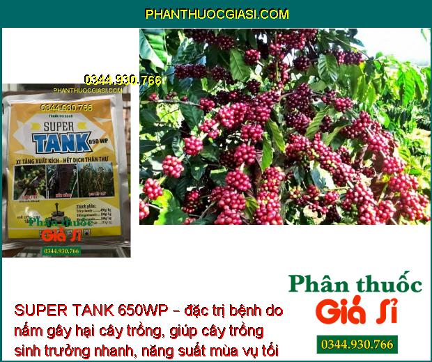 SUPER TANK 650WP – ĐẶC TRỊ BỆNH PHẤN TRẮNG - RỈ SẮT - THÁN THƯ - NẤM TRÊN CÂY