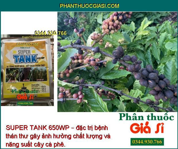 SUPER TANK 650WP – ĐẶC TRỊ BỆNH PHẤN TRẮNG - RỈ SẮT - THÁN THƯ - NẤM TRÊN CÂY